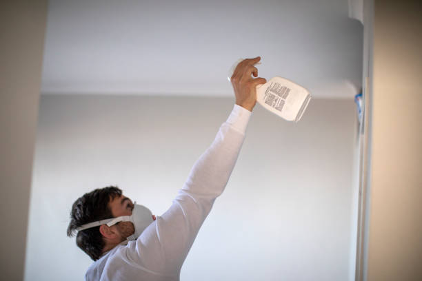Best Insurance-Related Mold Remediation in La Homa, TX